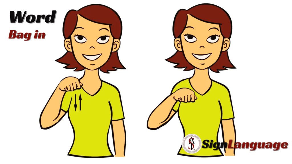 Bag in Sign Language